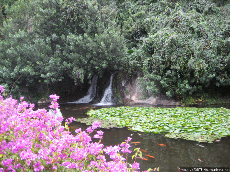 Лоро-парк Пуэрто-де-ла-Крус, остров Тенерифе, Испания