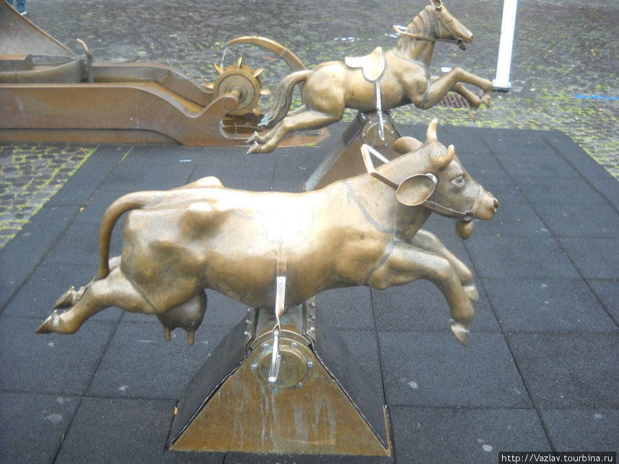 Скаковые коровы Рендсбург, Германия