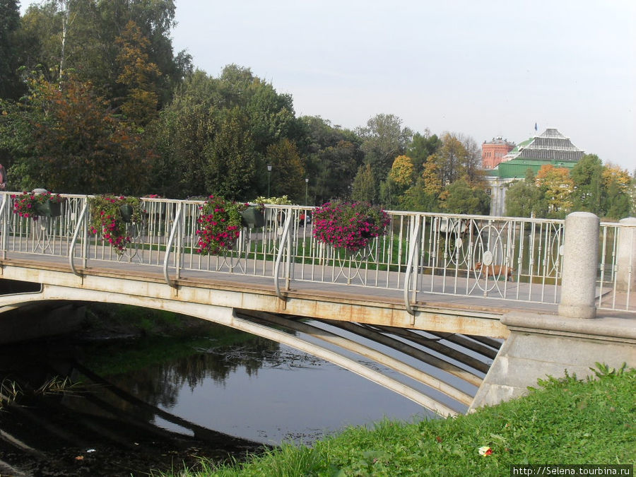 Пред Вами град Петров ... Санкт-Петербург, Россия