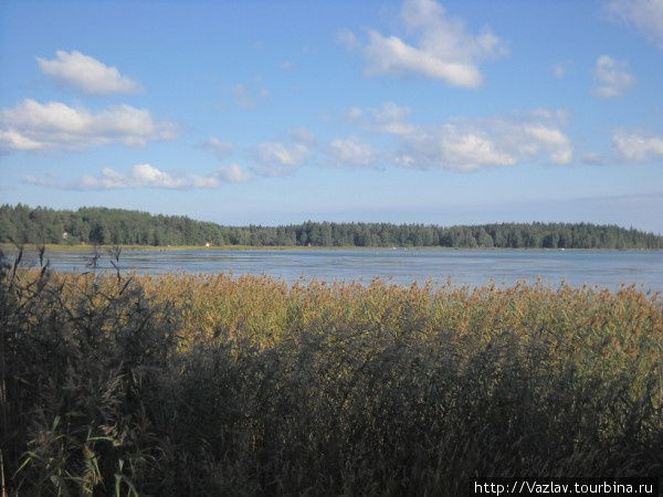 Заросли Ловииса, Финляндия