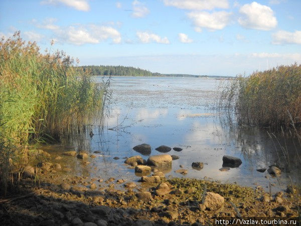 У воды Ловииса, Финляндия