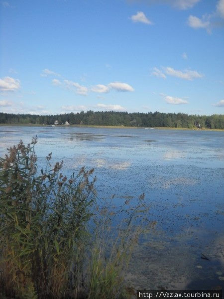 Вывели на чистую воду Ловииса, Финляндия