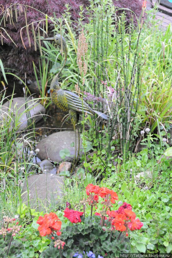 Мой  сад : который я люблю Херлен, Нидерланды