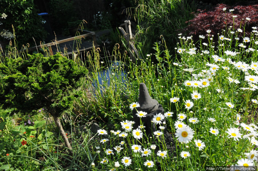 Мой  сад : который я люблю Херлен, Нидерланды