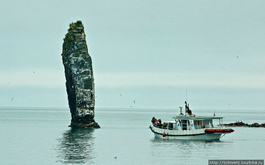 Остров Старичков — морская прогулка и море впечатлений. Остров Старичков, Россия