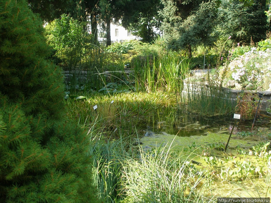 Ботанический сад Брно, Чехия