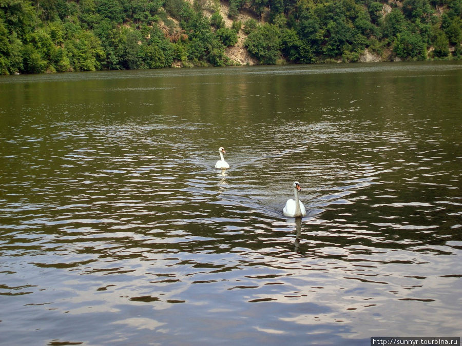 Замок Вевержи Брно, Чехия