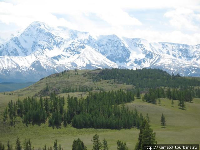 Алтай Алтайский край, Россия