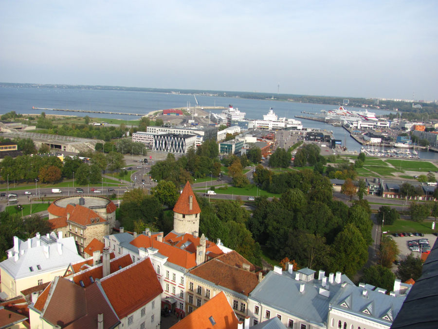 С высоты Шпиля Олевисте Таллин, Эстония