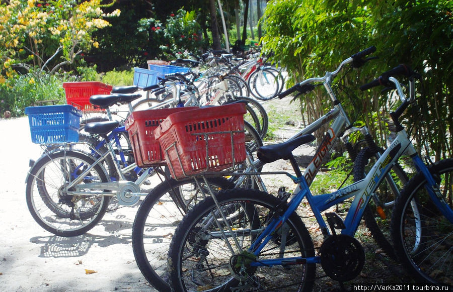 Велосипеды- основной вид транспорта на о.Ла Диг,аренда 100RS в сутки,предлагают на каждом углу. Сейшельские острова