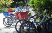 Велосипеды- основной вид транспорта на о.Ла Диг,аренда 100RS в сутки,предлагают на каждом углу.