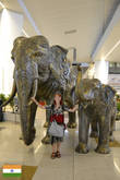 Дели, аэропорт. вот такие замечательные слоны! =)