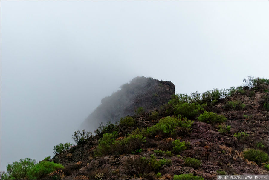 Ущелье Masca Остров Тенерифе, Испания