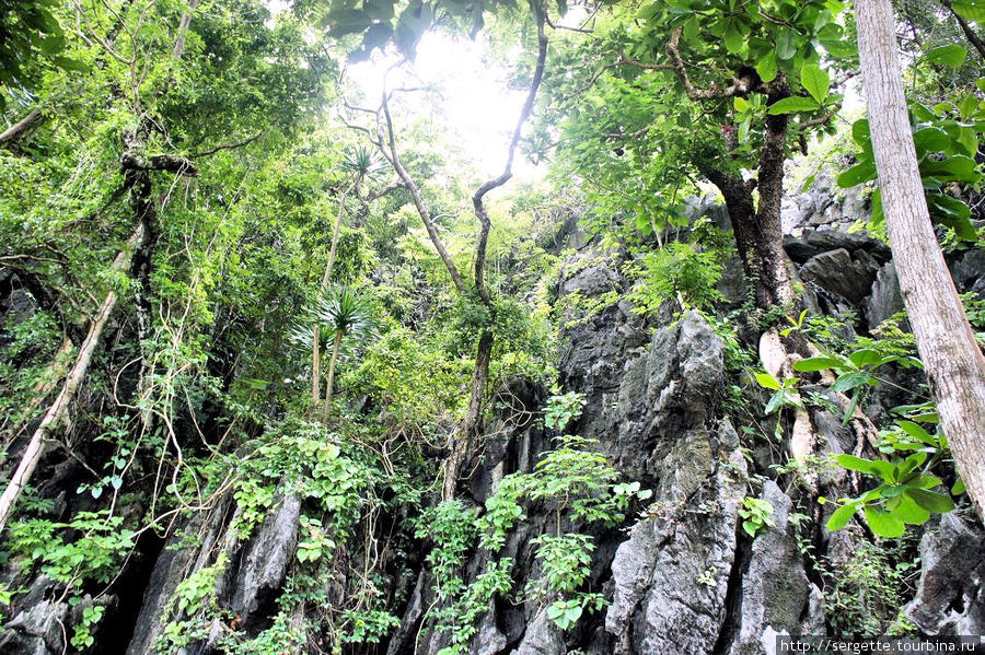 Джунгли Эль-Нидо, остров Палаван, Филиппины