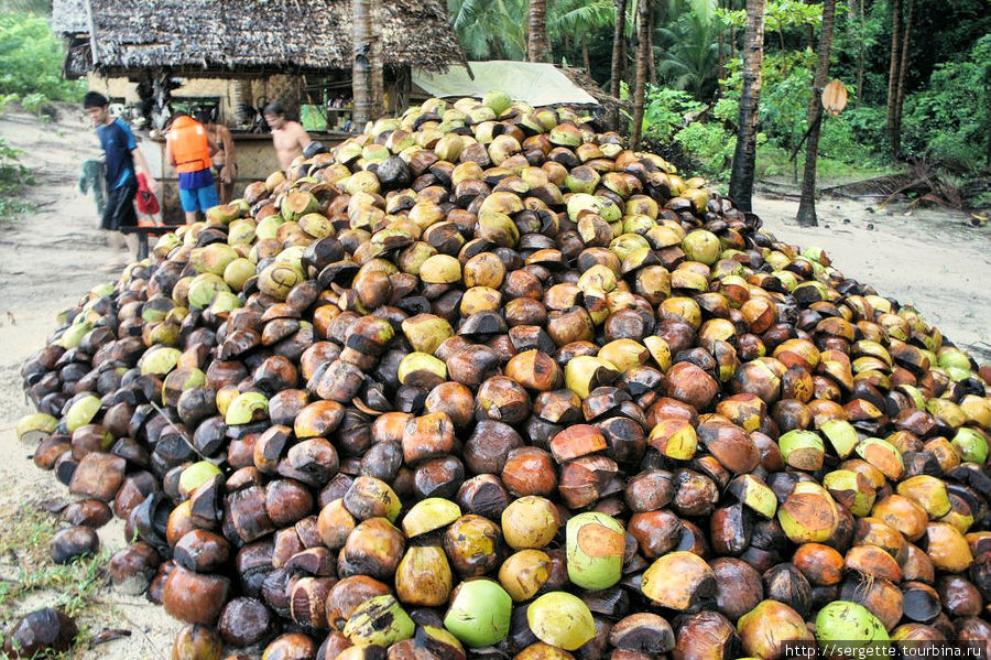 Горы кокосиков