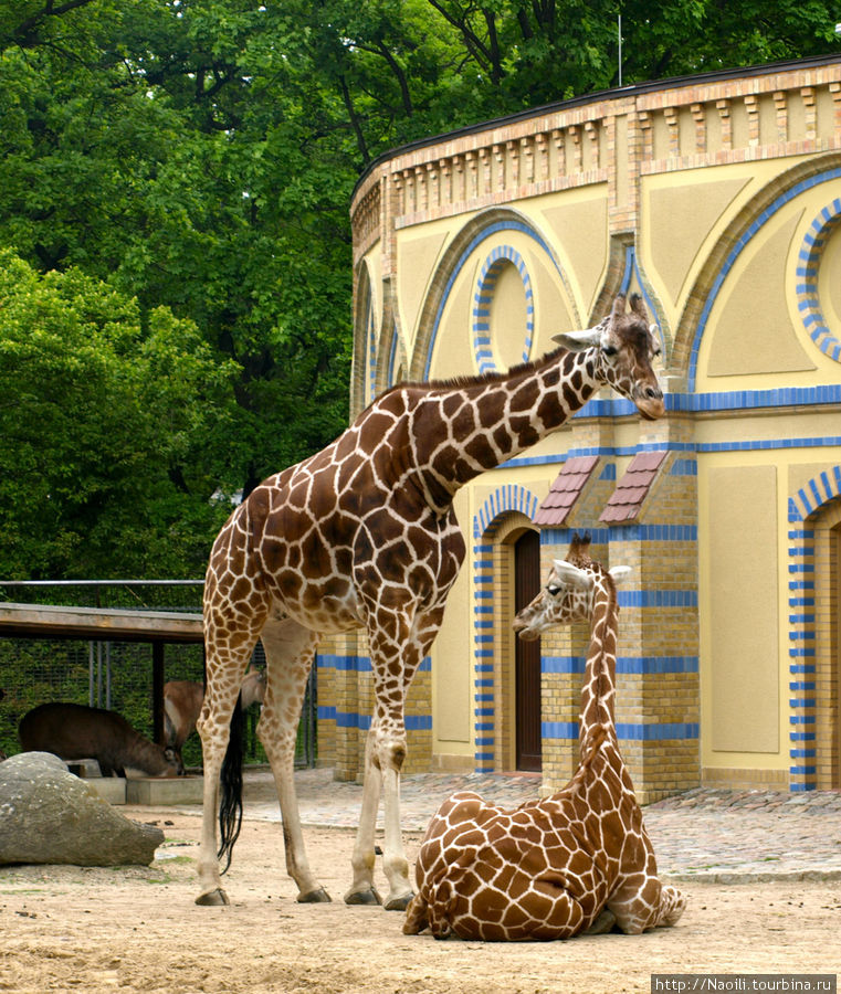Берлинский зоопарк - островок природы в большом городе. Берлин, Германия