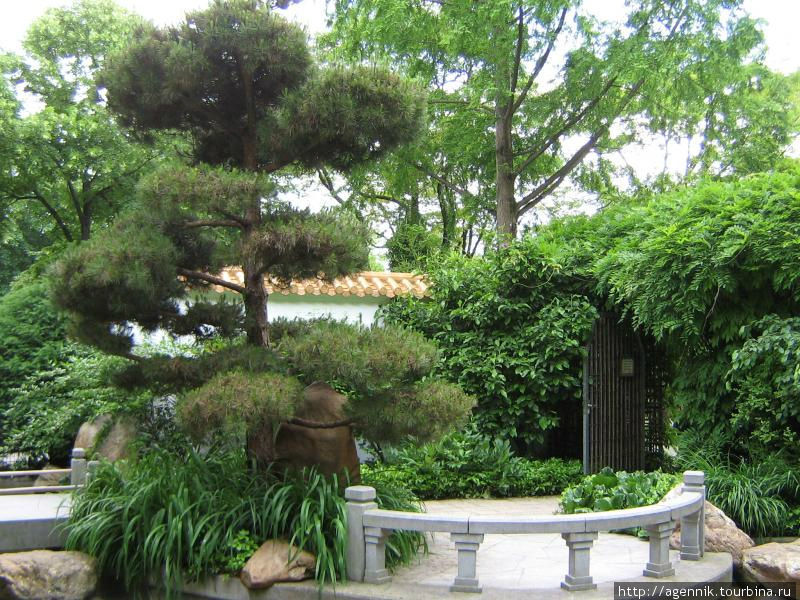В китайском саду ароматов Мюнхен, Германия