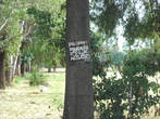 На деревьях развесил приглашения познакомиться некий местный пророк по фамилии Нтубе