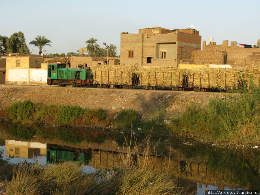 Узкоколейный поезд Луксор, Египет