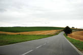 Все дороги южной Чехии в одном фото: желто-зеленые поля с валунами сена, редкие деревья, безлюдная дорога и одинокий домик где-то вдали