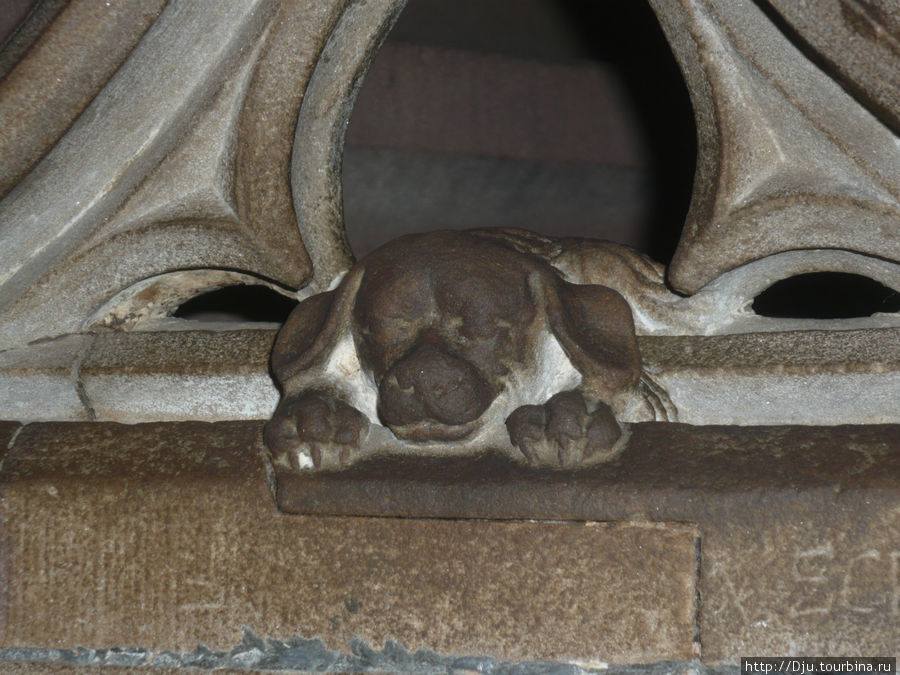 Любимая собачка настоятеля собора, которая присутствовала на всех службах, увековечена на кафедре Собора. Страсбург, Франция