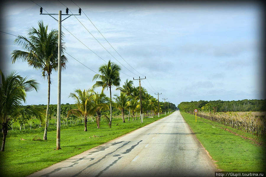 А это уже бесплатная дорога. Надо сказать, дороги на Кубе вполне приличные, но они совершенно не освещаются, и поэтому водители туристических автобусов стараются довезти своих пассажиров до точки назначения засветло. Куба