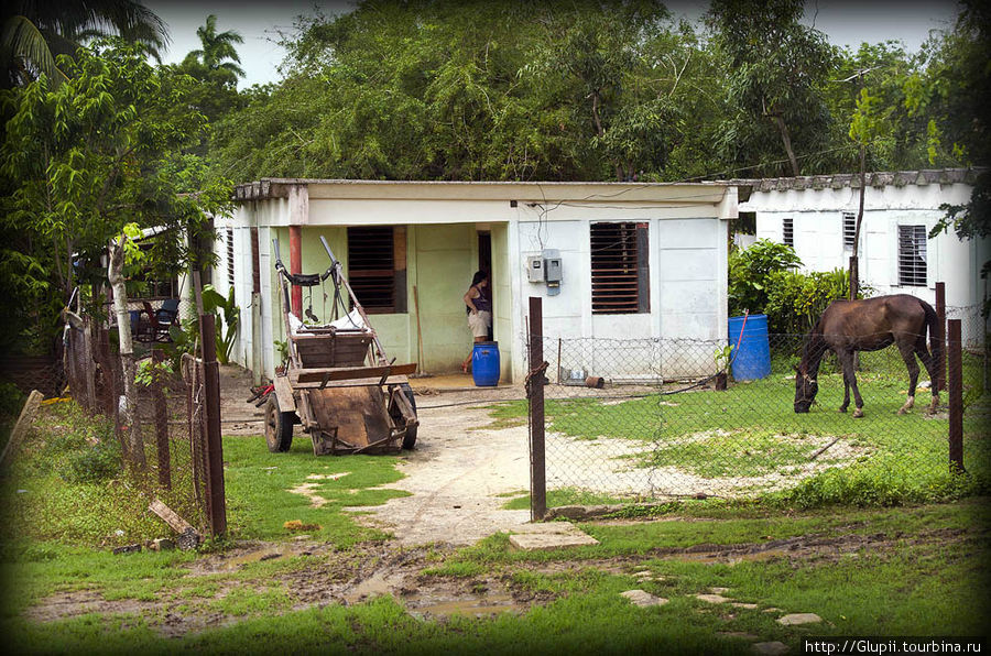 В основном кубинцы живут вот так — это типичный дом. Куба