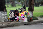 5.  14 февраля в 2011 году завершало двухнедельный праздник Тет. Оказывается День Влюблённых очень популярен во Вьетнаме. На всех углах шла бойкая торговля цветами. Цитадель не была исключением
