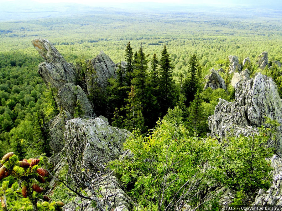 Летом пёстроту поддерживают зеленоватые лишайники, покрывающие серебристые скалы Учалы, Россия