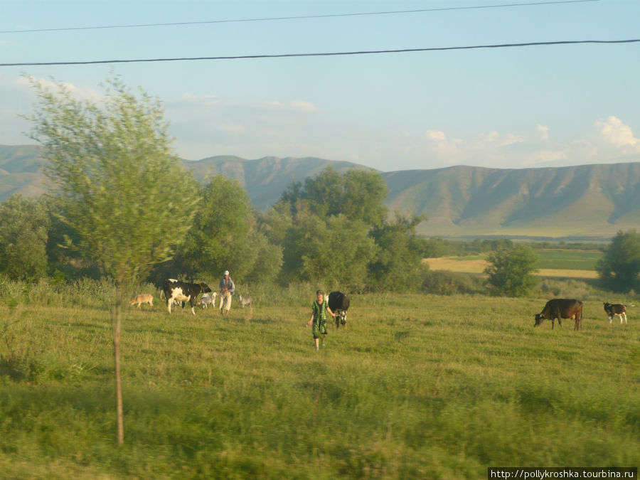 По дороге в Джамбул (Тараз). Южный Казахстан в своей красе Казахстан