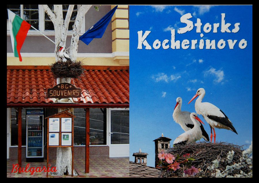 Storks или город, в котором живет счастье Кочериново, Болгария