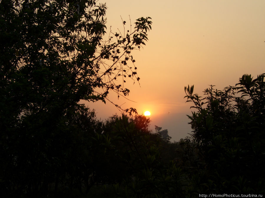 Закат над джунглями Читван Национальный Парк, Непал