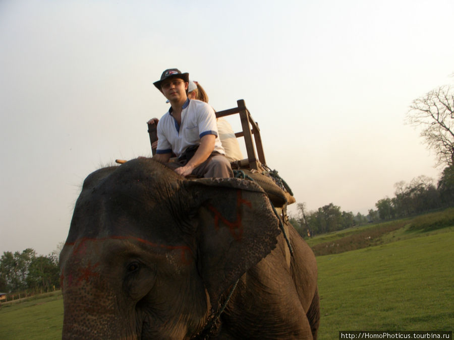 Верхом на слоне Читван Национальный Парк, Непал