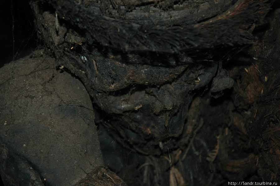 Балием-7: Охота на мумий Вамена, Индонезия
