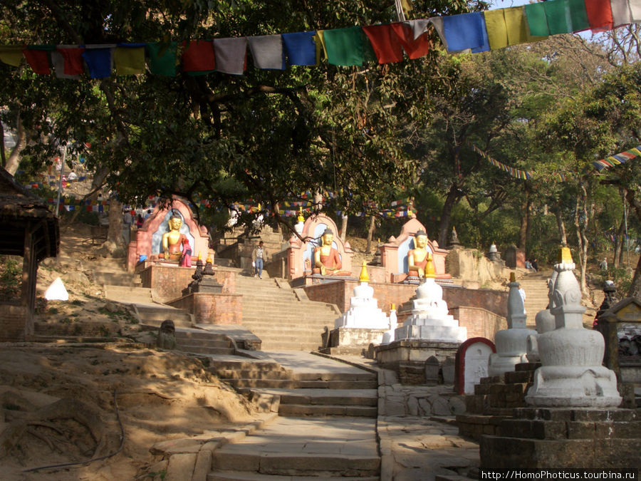 Возле обезьяньего храма Катманду, Непал