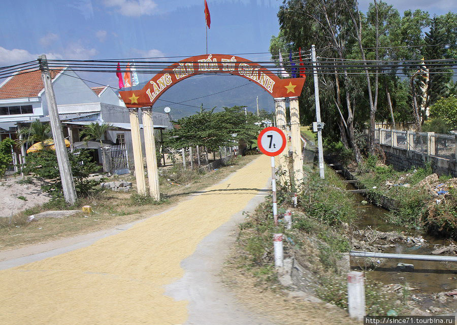 24.  Рис сушится Нячанг, Вьетнам