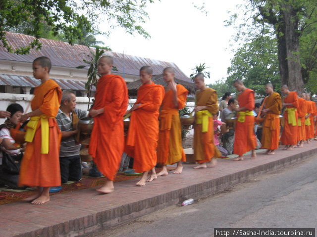 Монахи медленно идут стройной шеренгой, один за другим.
Каждому накладывают по чуть-чуть риса в специальный сосуд
для сбора пожертвований (патра). Это один из немногих предметов
который может быть в собственности монаха. Луанг-Прабанг, Лаос