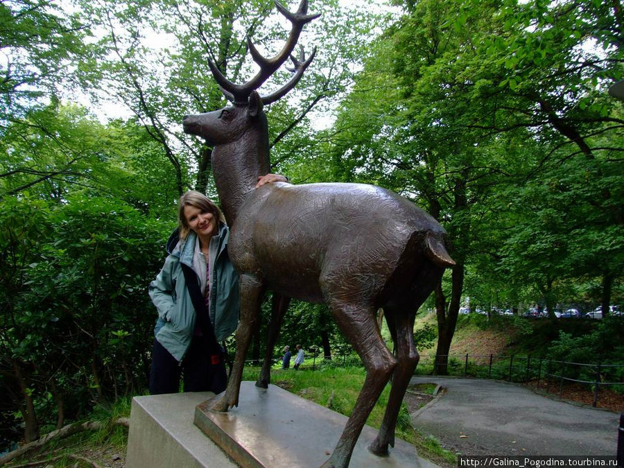 в парке Берген, Норвегия