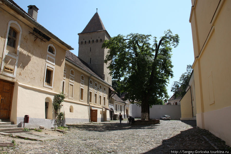 Любимое вино Дракулы Медиаш, Румыния