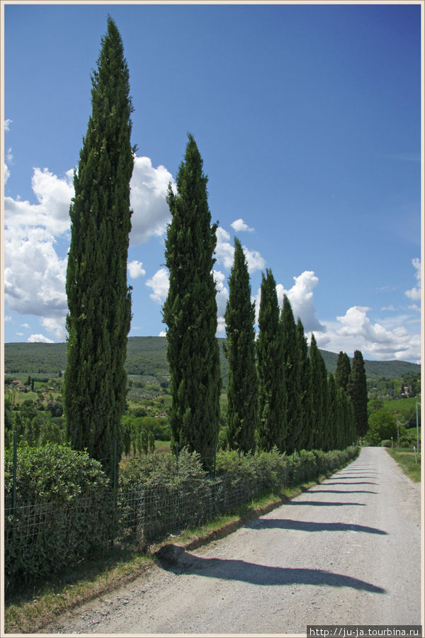 Идиллический пейзаж! Сразу вспомнается Бертоллуччи и его Ускользающая красота Сан-Джиминьяно, Италия
