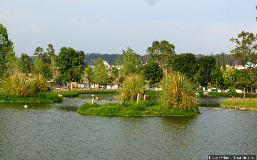 Островки зелени в большом городе - парк Экологии Пуэбла, Мексика