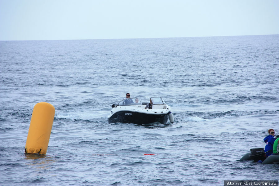 Ялтинский этап Red Bull Cliff Diving World Series 2011 Ялта, Россия