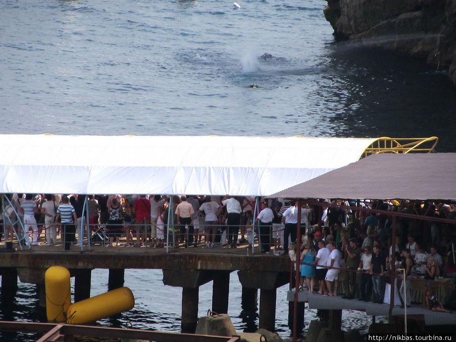 Ялтинский этап Red Bull Cliff Diving World Series 2011 Ялта, Россия