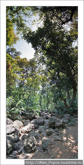 Арамболь, Гоа, Индия 2004-2006 год Арамболь, Индия