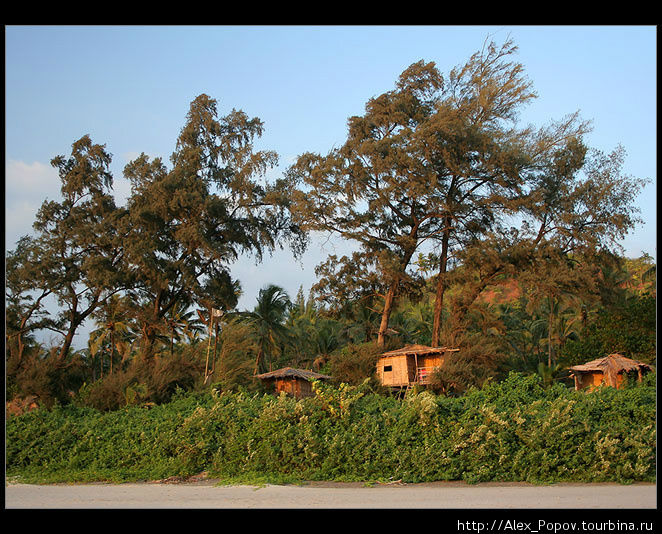 Асвем, Гоа, Индия 2004-2006 год Асвем, Индия
