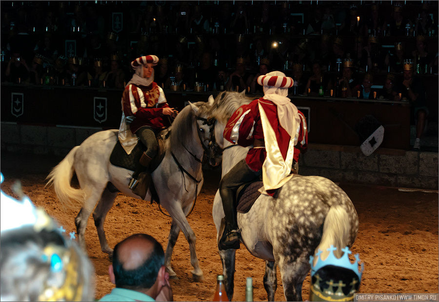 Обычное шоу с конями, попрыгали, побегали, покрасовались. Остров Тенерифе, Испания