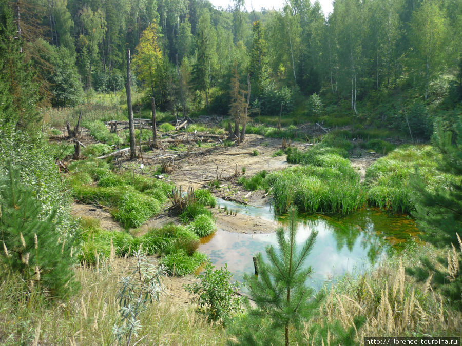 Воскресенский карьер Воскресенск, Россия