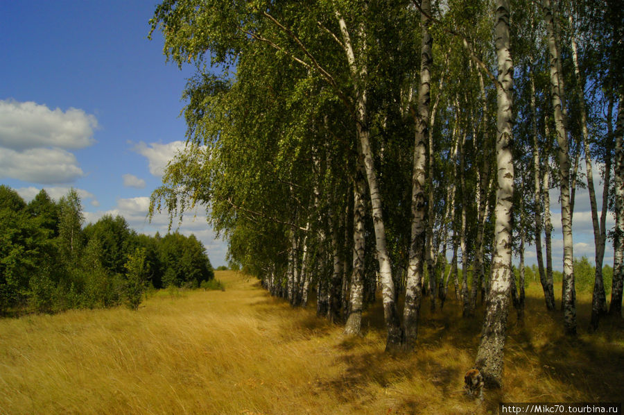 Клепиковский район,Мещера Тума, Россия