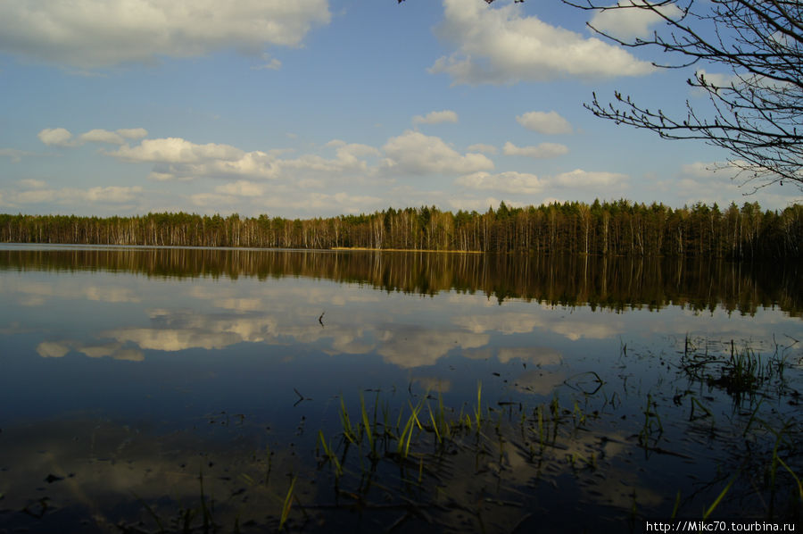 Клепиковский район,Мещера Тума, Россия