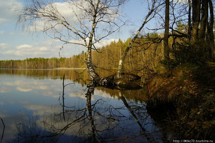 Клепиковский район,Мещера Тума, Россия